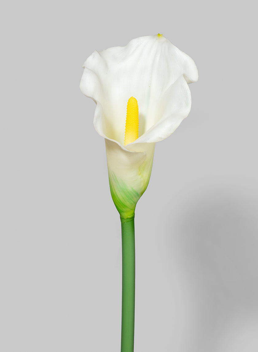 29in Long White Calla Lily