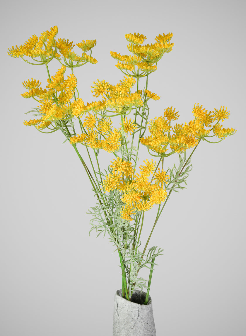 31in Long Yellow Fennel Flower Stem, Case of 12