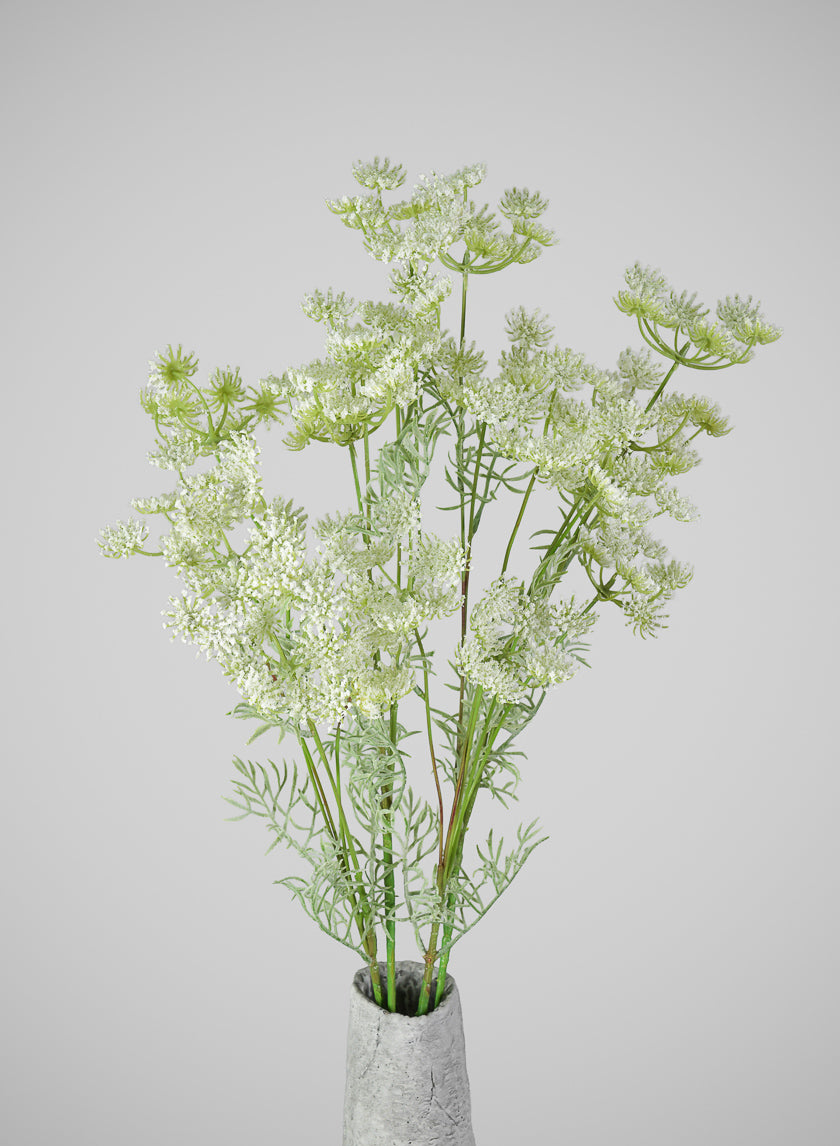 31in Long White Queen Anne's Lace Stem, Case of 12