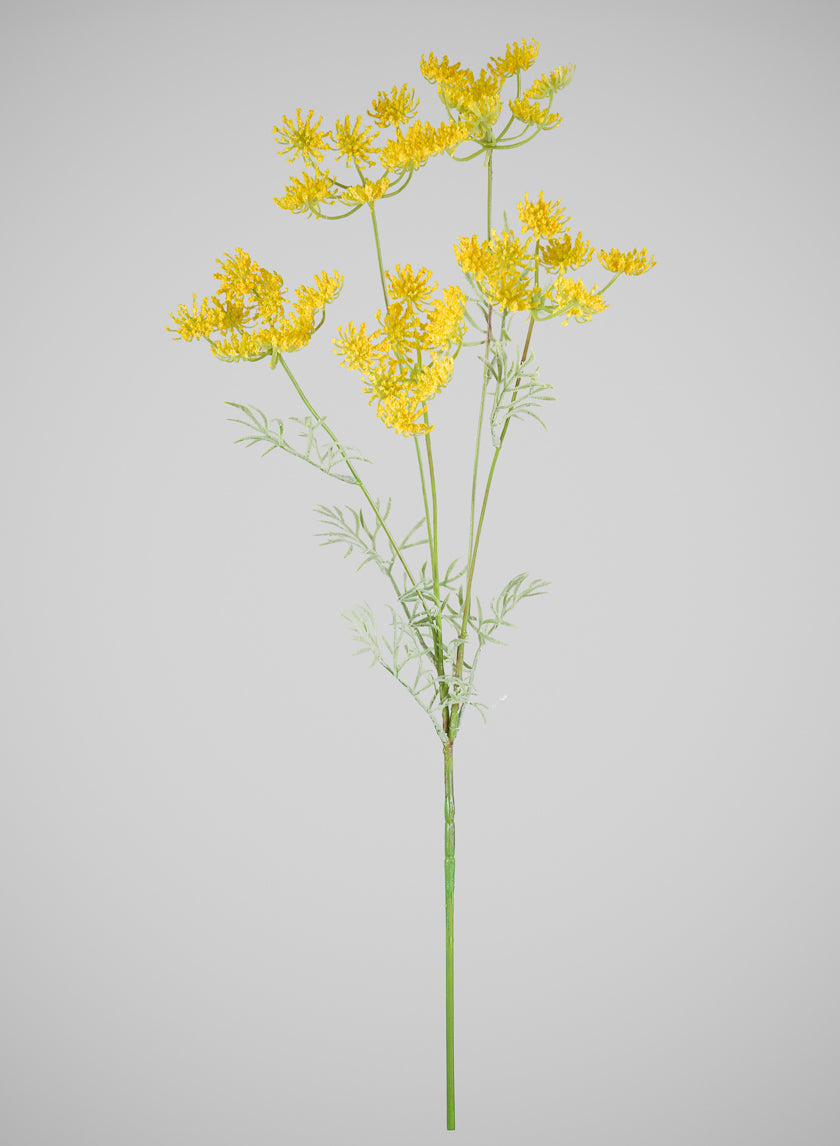 31in Long Yellow Fennel Flower Stem, Case of 12