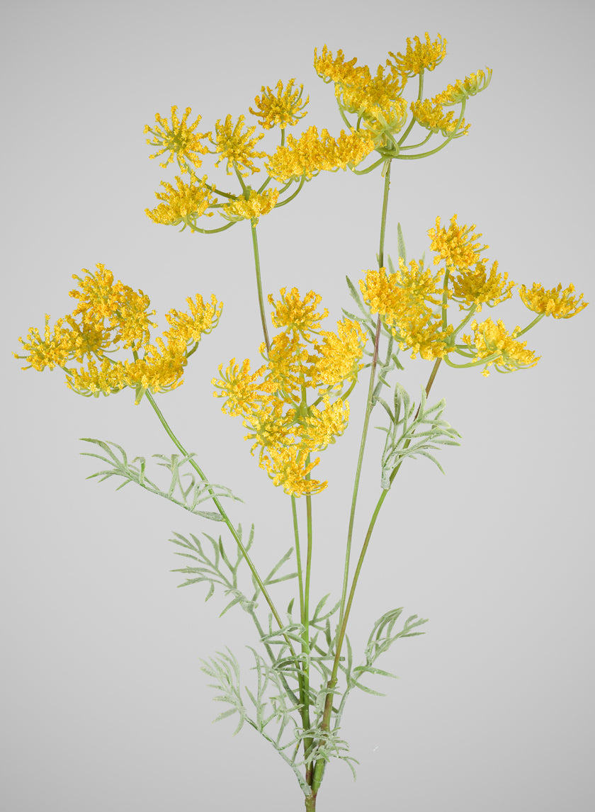 31in Long Yellow Fennel Flower Stem, Case of 12
