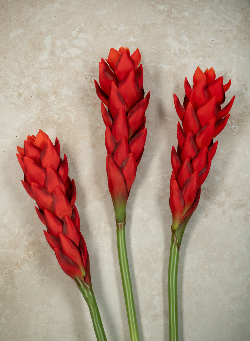 29in Long Red Ginger Stem, Case of 12
