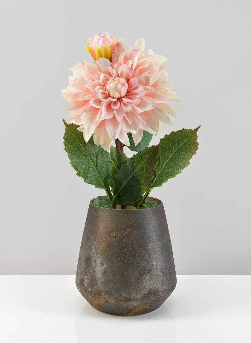 33in Long Peach Dahlia