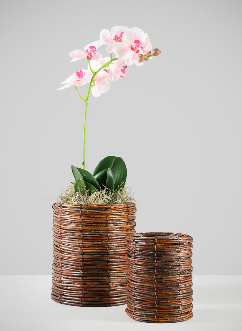 43in Long Light Pink Phalaenopsis Orchid Spray, Case of 12