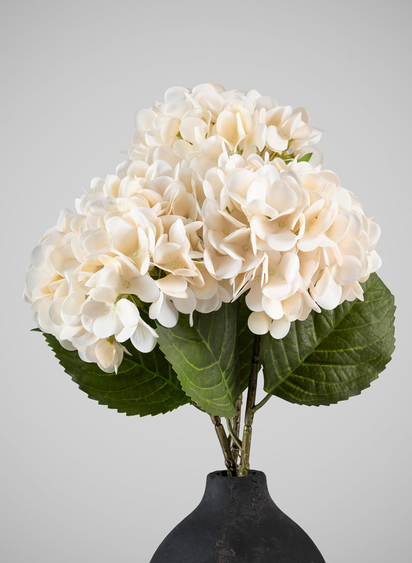 22in Long White Hydrangea Spray, Case of 12