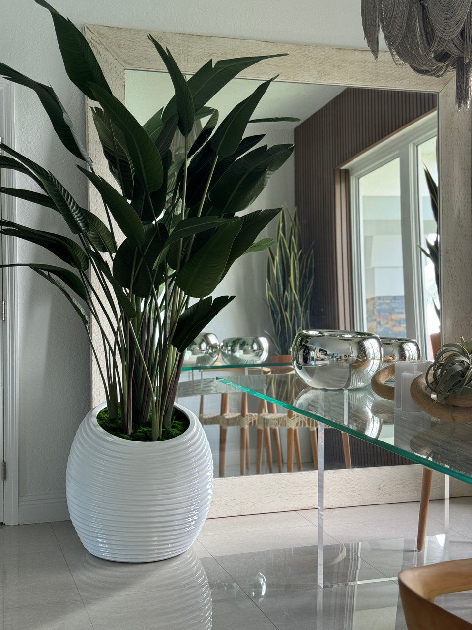 Bird of Paradise in White Spiral Planter