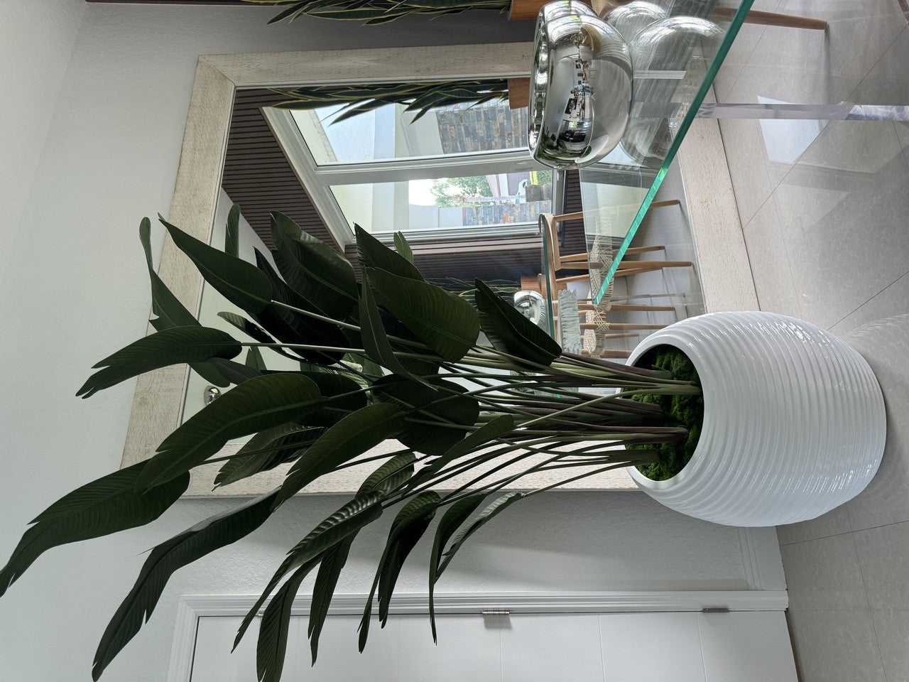 Bird of Paradise in White Spiral Planter