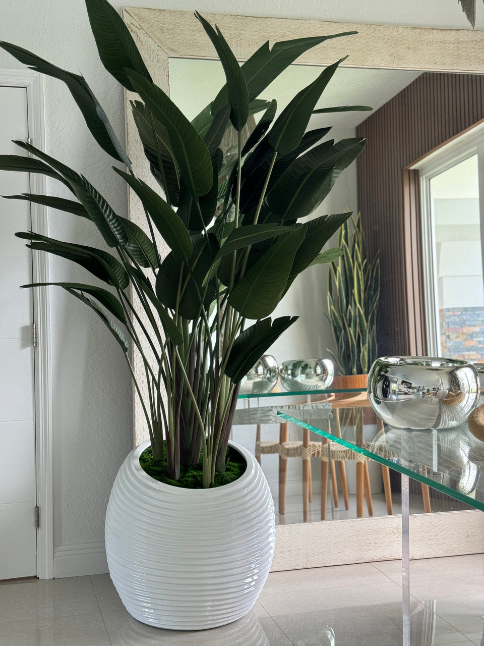 Bird of Paradise in White Spiral Planter