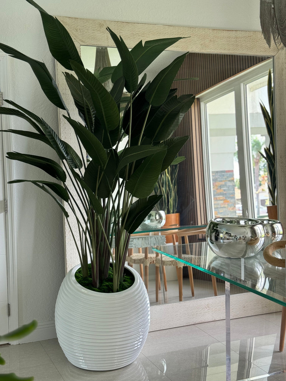 Bird of Paradise in White Spiral Planter