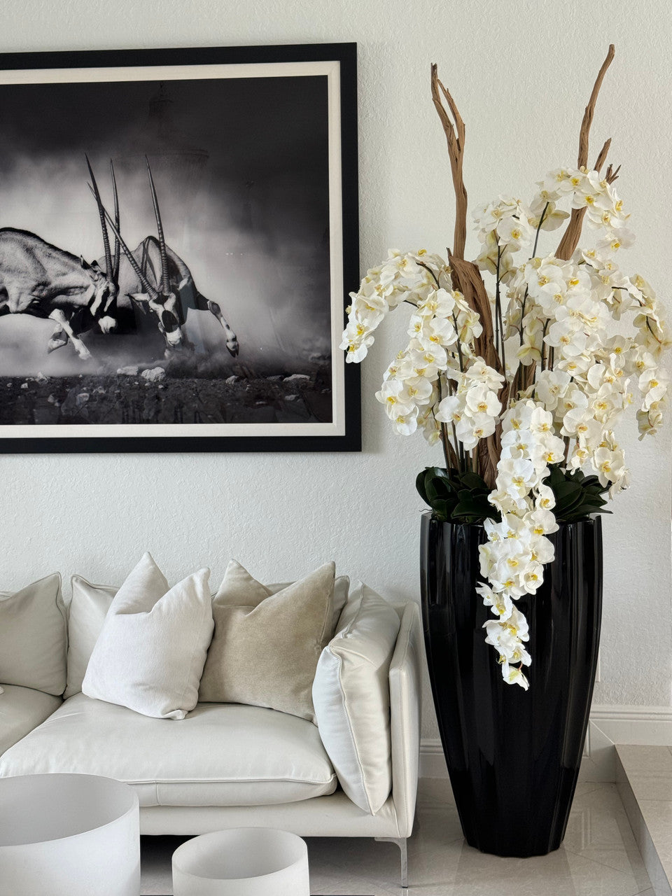 San Jose Planter in Glossy Black with Cascading White Orchids