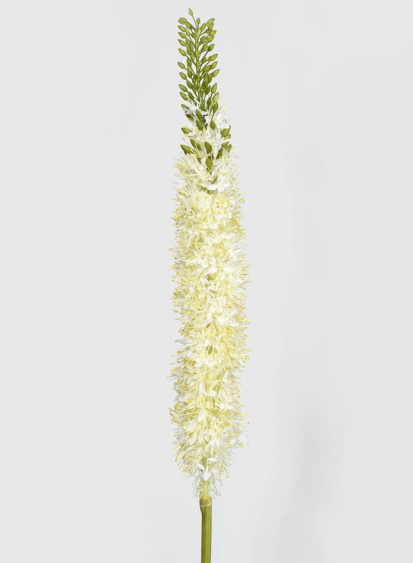 42in Long White Foxtail Lily