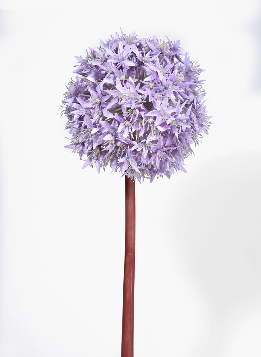 35in Light Purple Allium