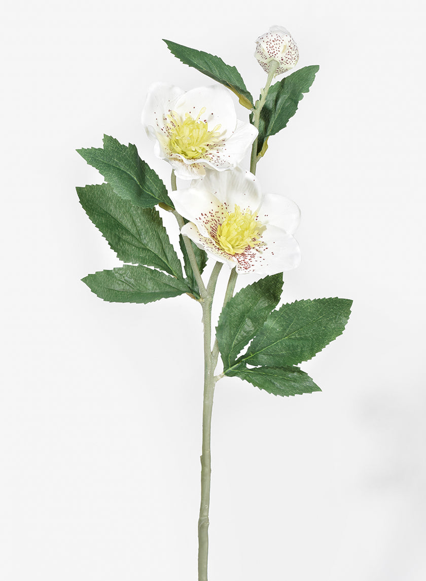 22in Long White Hellebores Spray