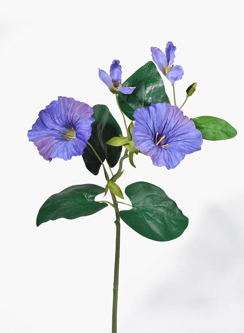 16in Long Blue Morning Glory Spray