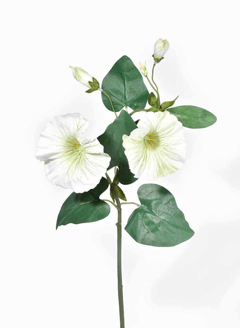 16in Long White & Green Morning Glory Spray