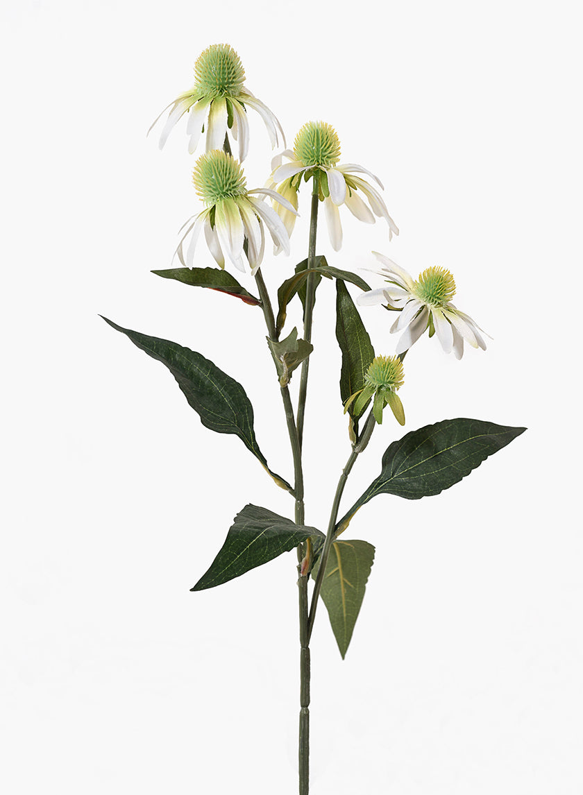 29in Long White Coneflower Spray