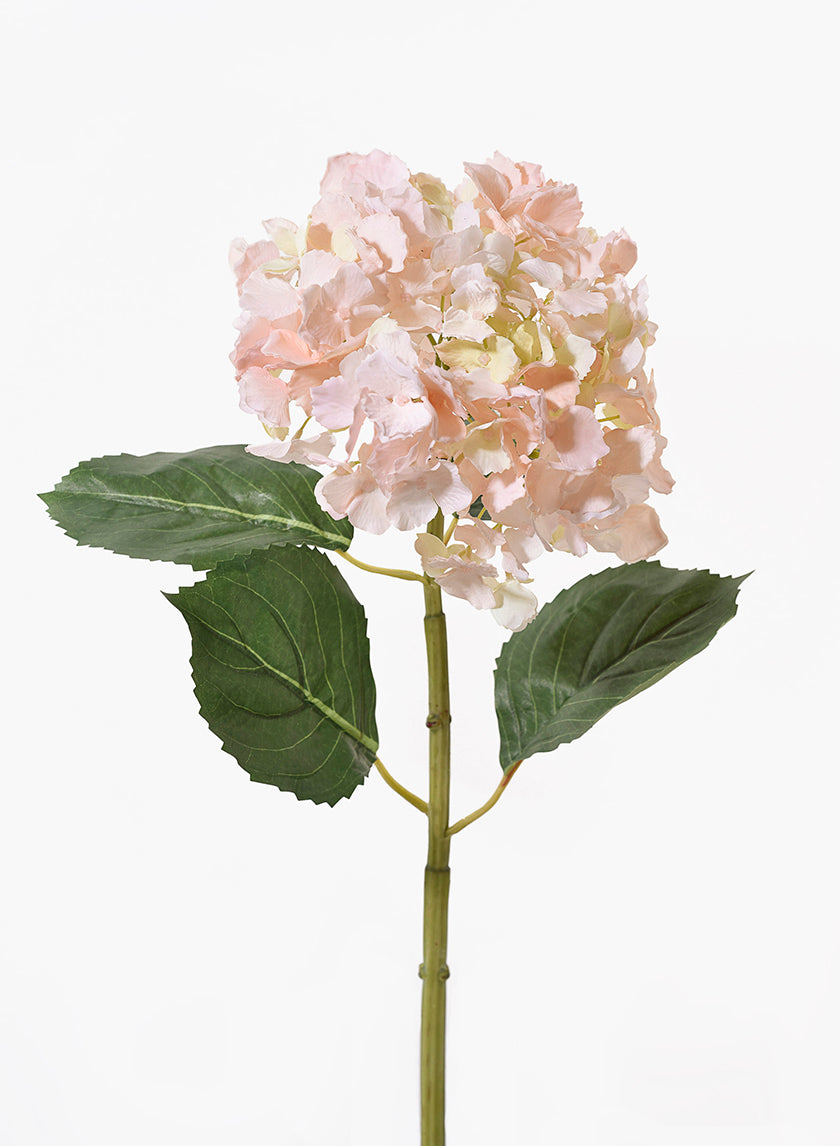 31in Long Light Pink Hydrangea