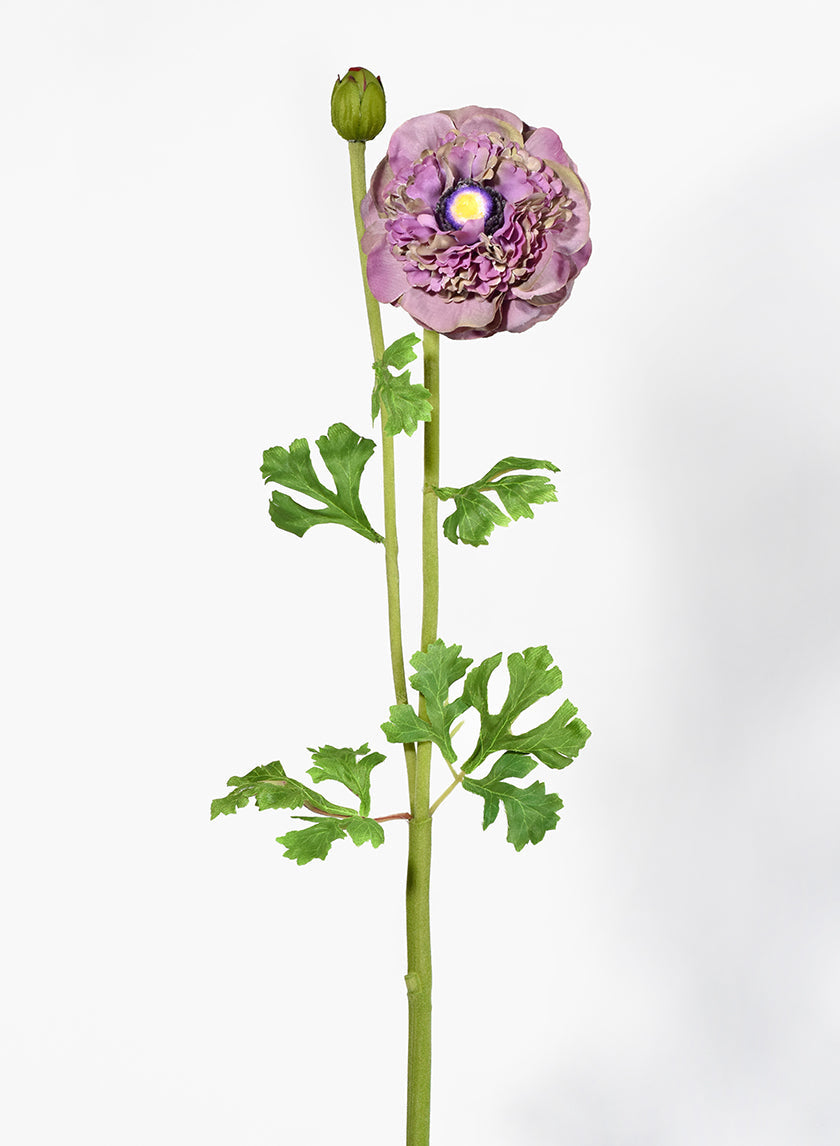 27in Long Purple & Green Ranunculus
