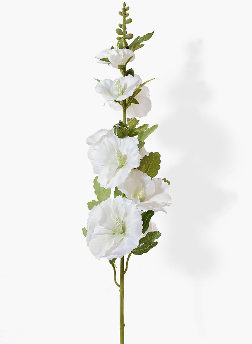 36in Long White Hollyhock