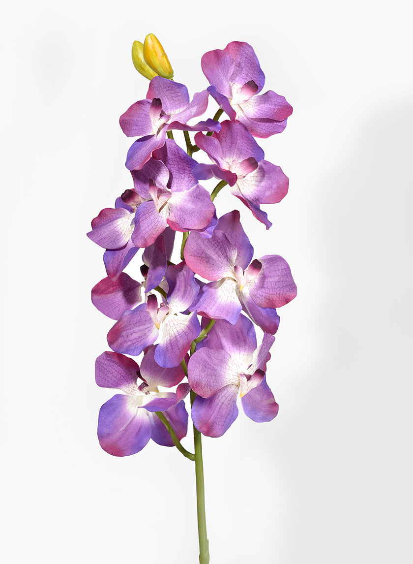 31in Long Purple Vanda Orchid