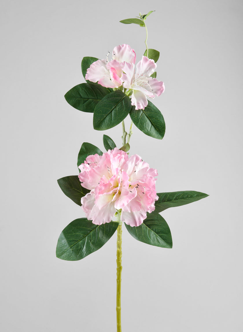 34in Long Light Pink Azalea