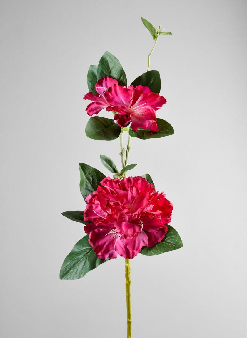 34in Long Pink Azalea