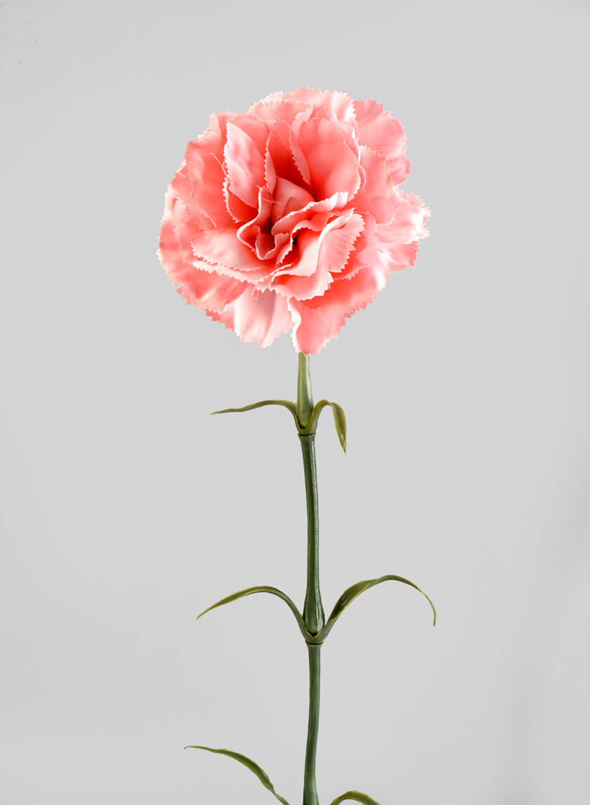 24in Long Pink Carnation