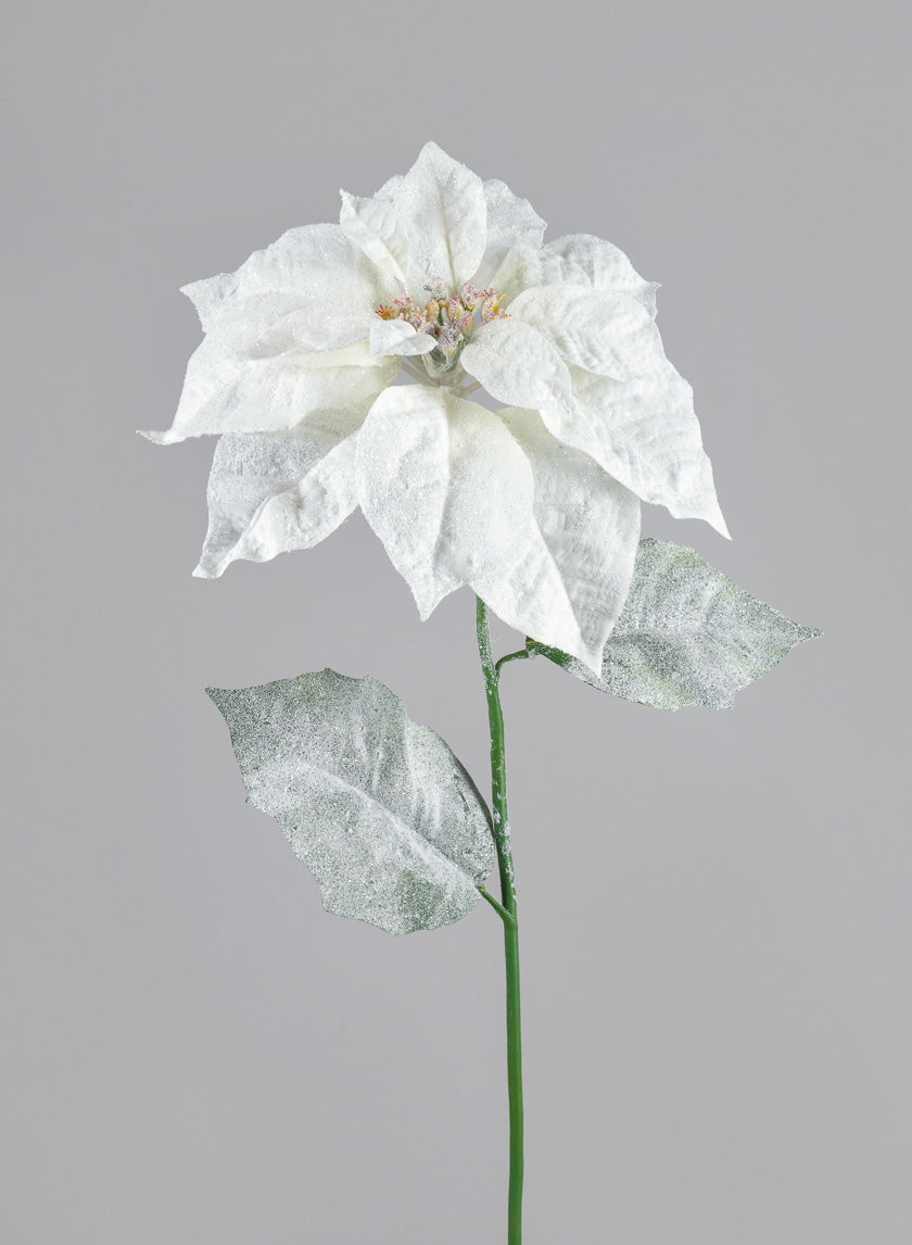 26in Long Glitter Frost Poinsettia Spray