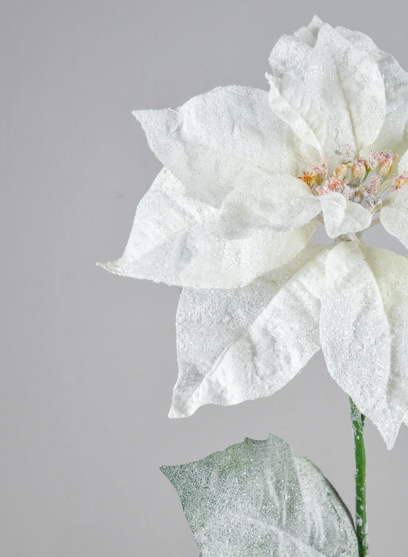 26in Long Glitter Frost Poinsettia Spray