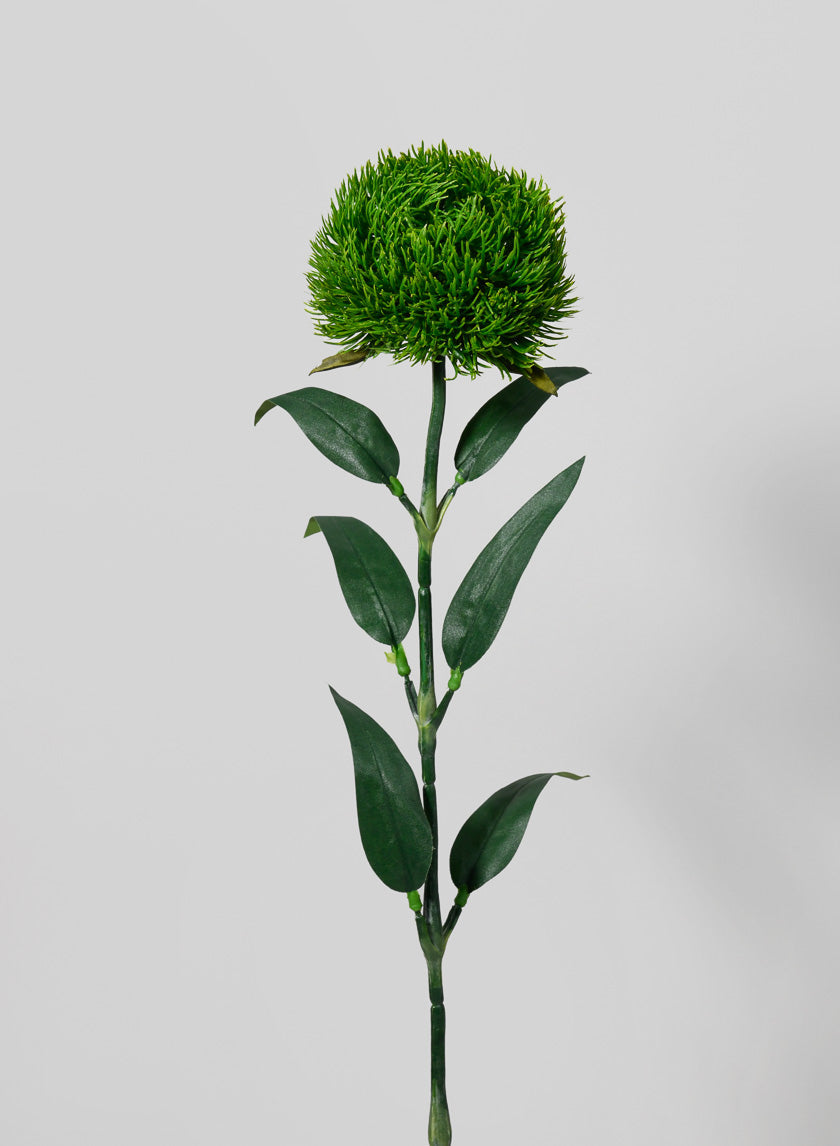 21in Long Dianthus Spray