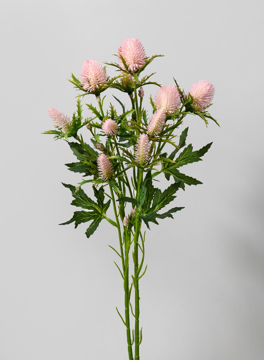 26.5in Long Sea Holly Spray