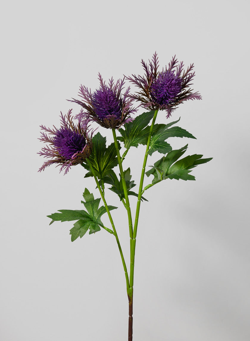 26in Long Teasel Spray