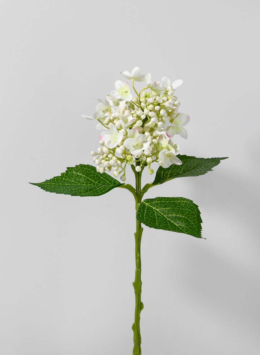 15in Long Budding Hydrangea Spray, Case of 12