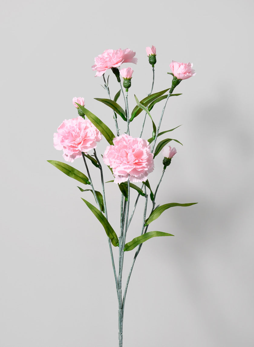 27.5in Long Carnation Spray