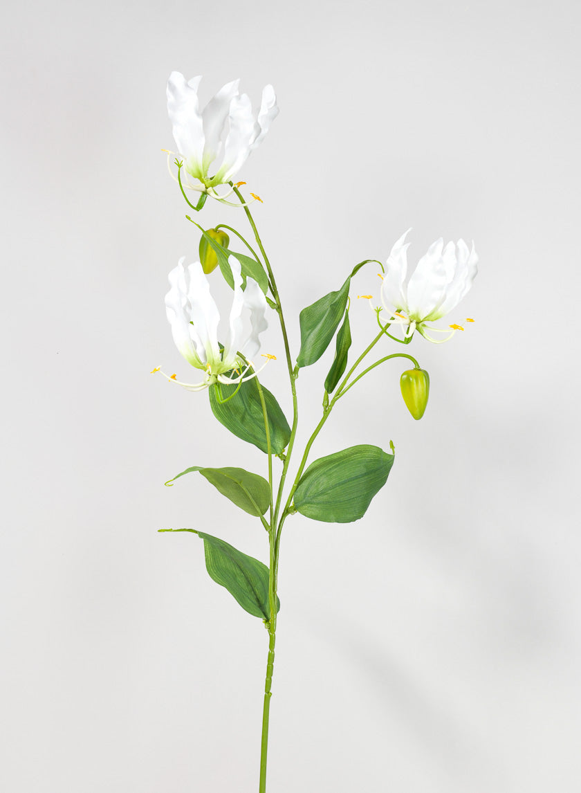 33in Long Gloriosa Spray