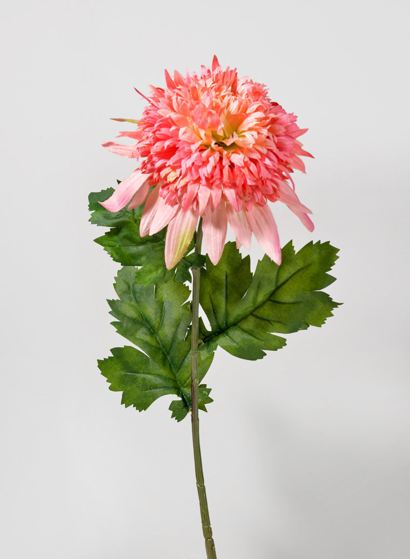 29.5in Long Peach Chrysanthemum Spray