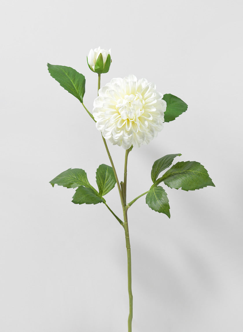 24in Long Dahlia Spray