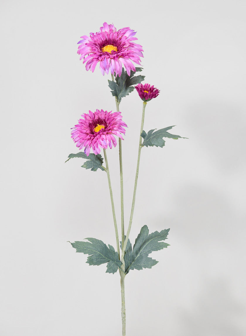 15in Long Lavender Transvaal Daisy Spray