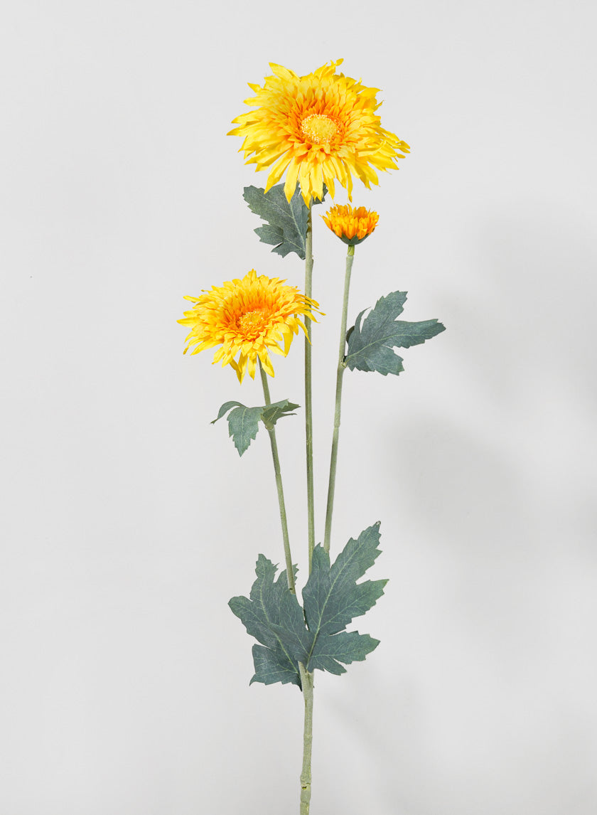 27in Long Yellow Transvaal Daisy Spray