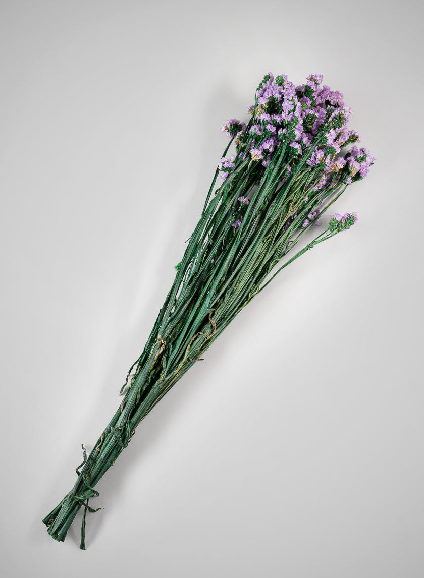 28in Long Preserved Pink Statice Flower Bunch