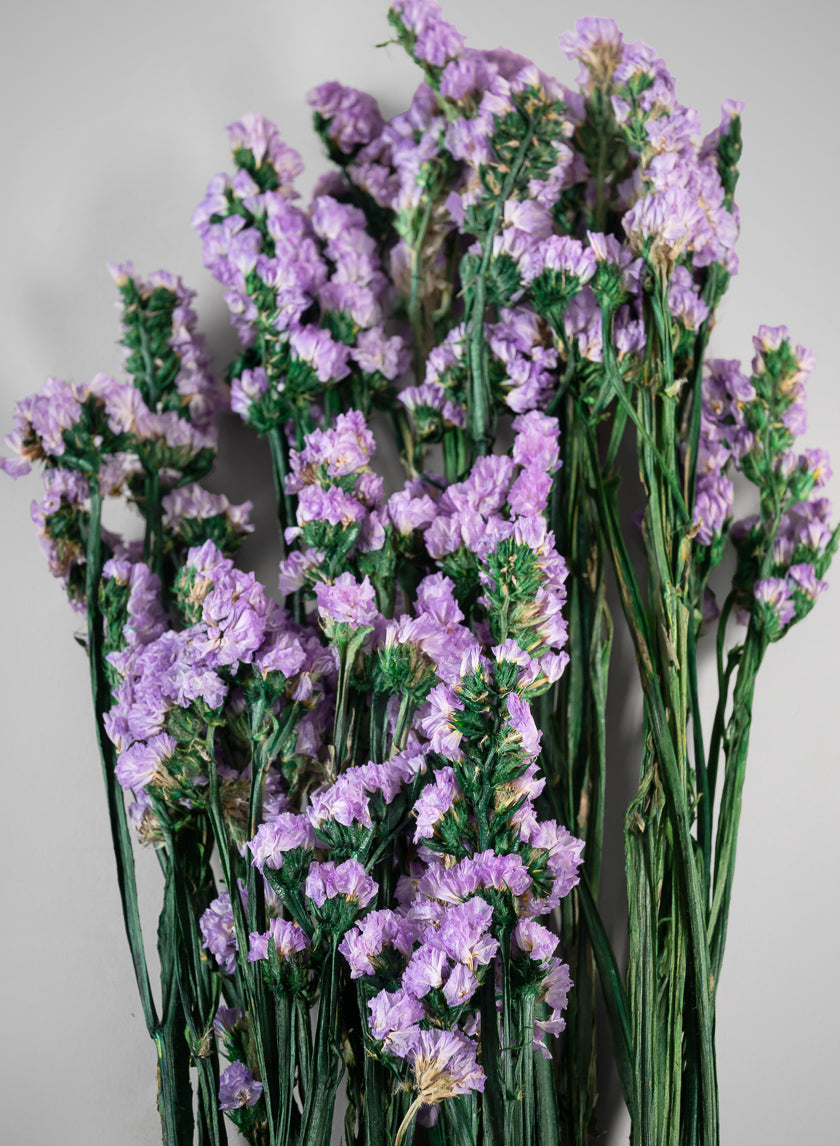 28in Long Preserved Pink Statice Flower Bunch