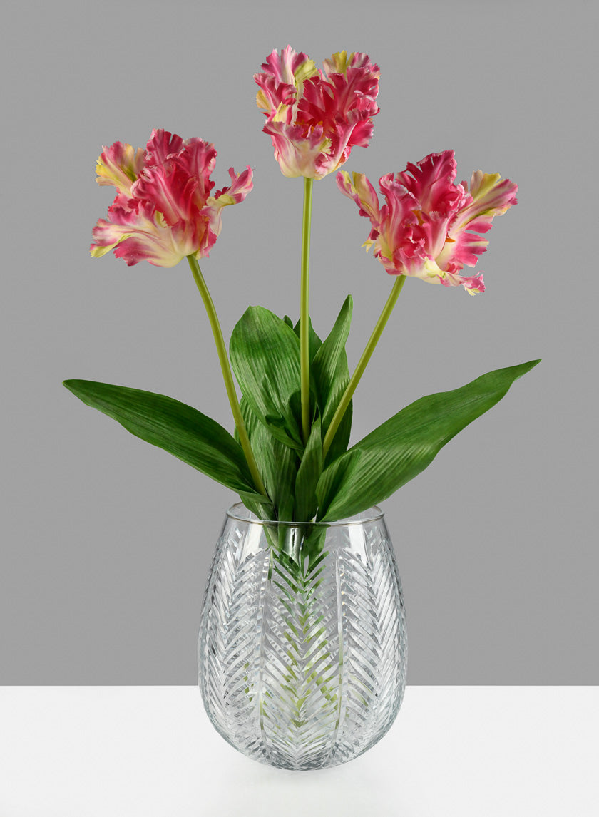 26in Long Pink Parrot Tulip