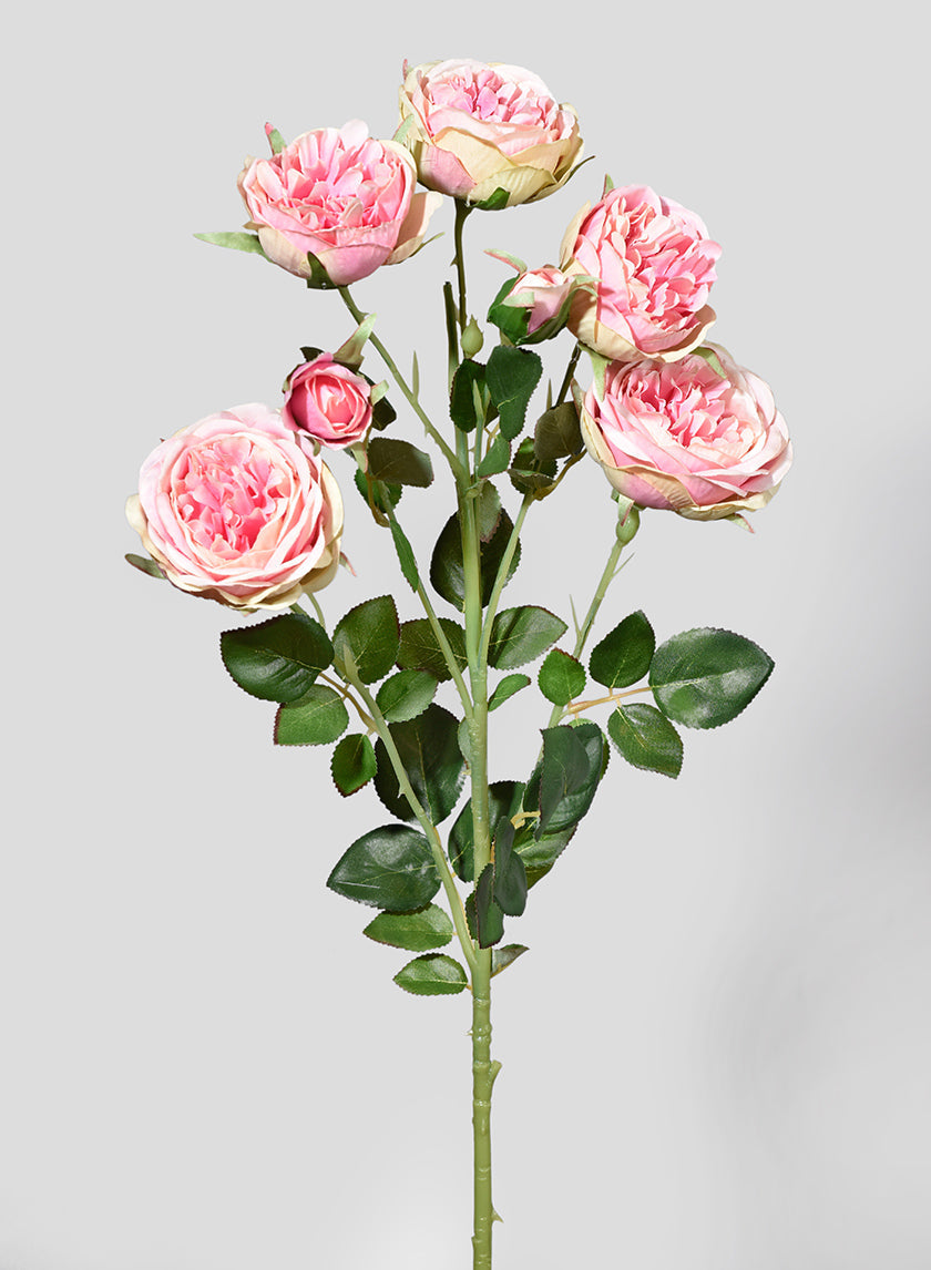 30in Long Blooming Pink Roses Spray