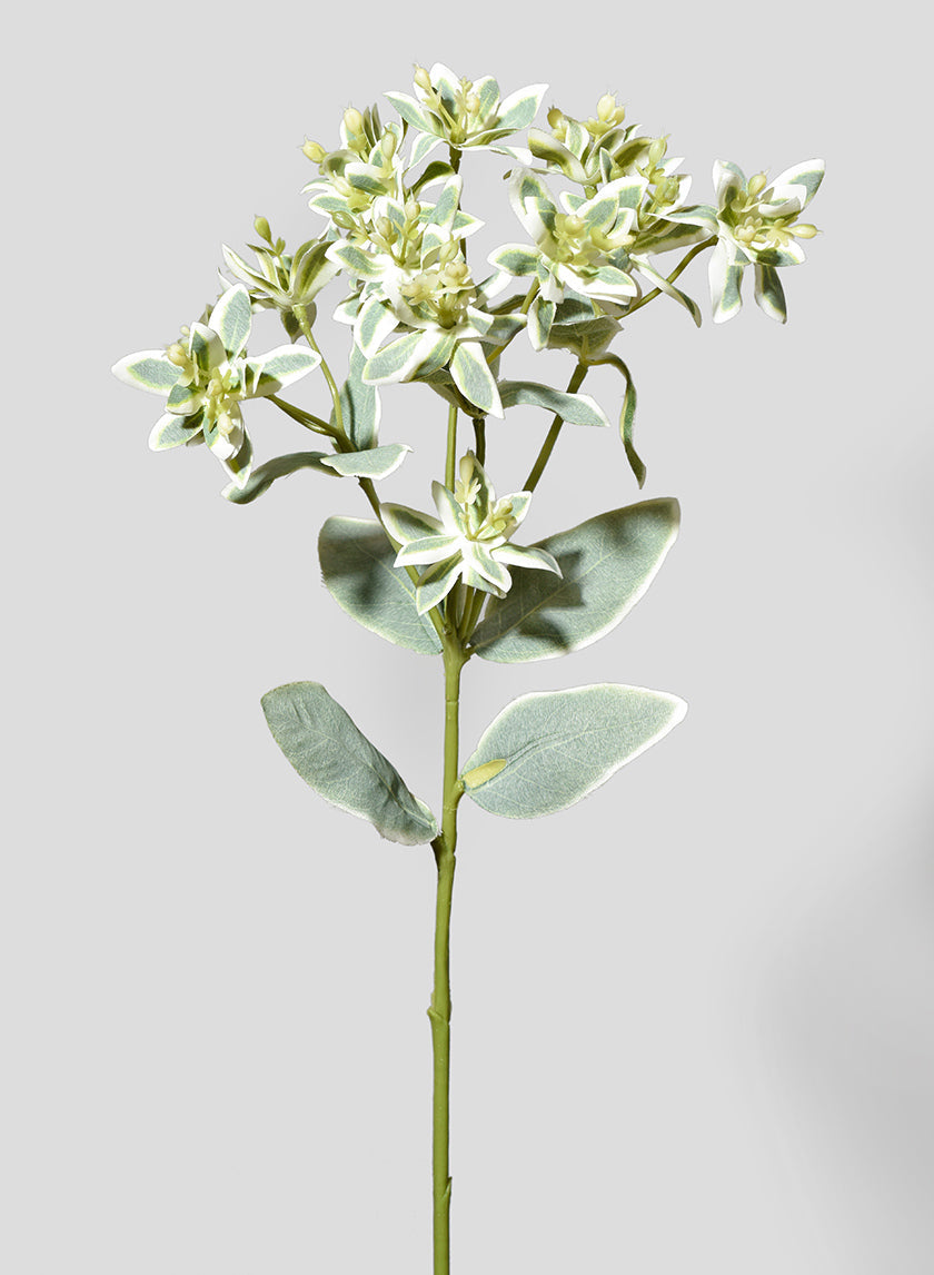 18in Long White & Green Eucalyptus Spray