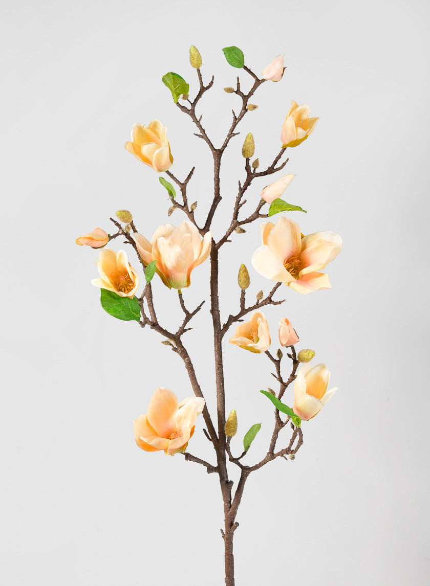 42in Long Peach Magnolia Blossom Branch, Case of 12