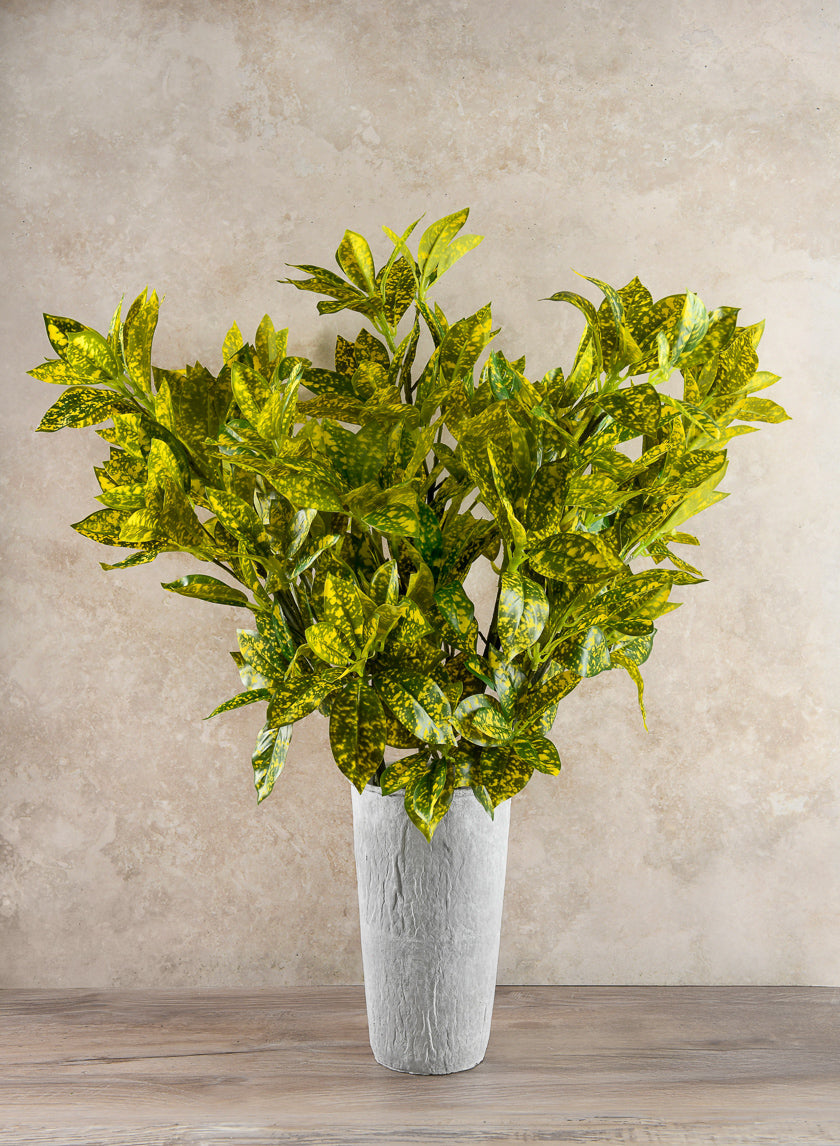 27in Long Croton Pick Leaves, Case of 12