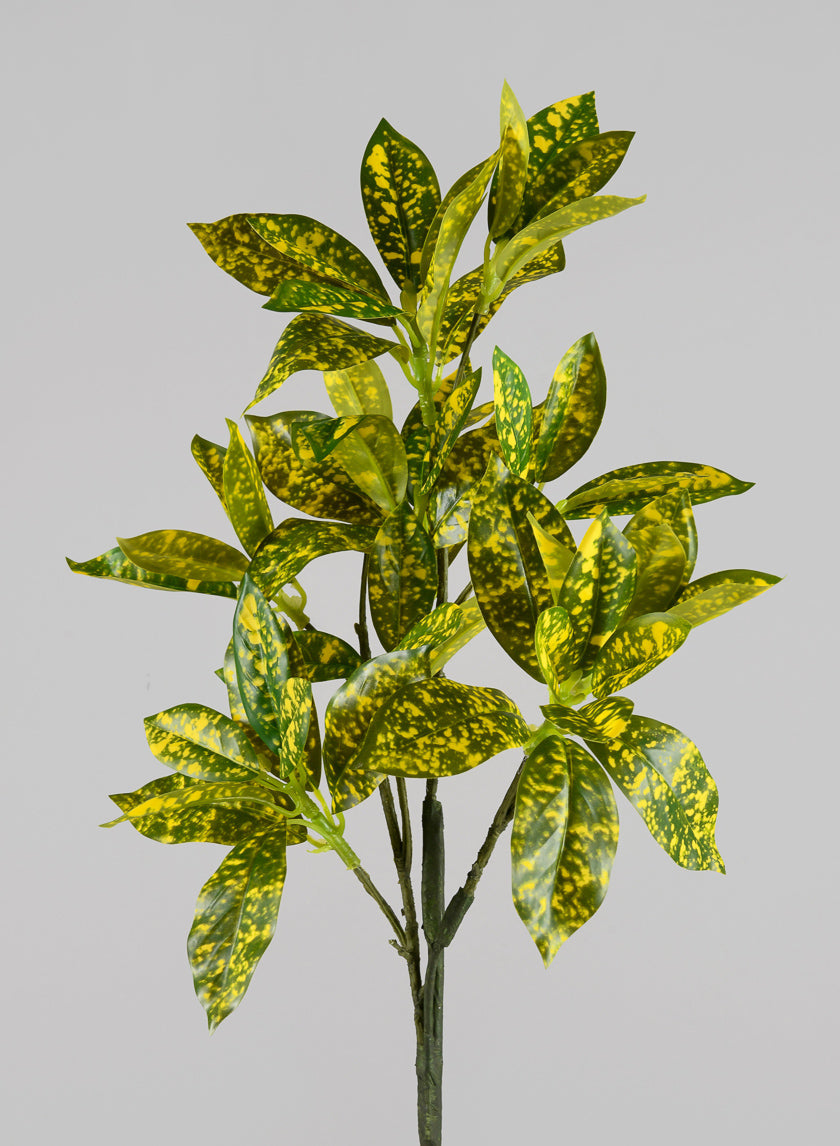 27in Long Croton Pick Leaves, Case of 12