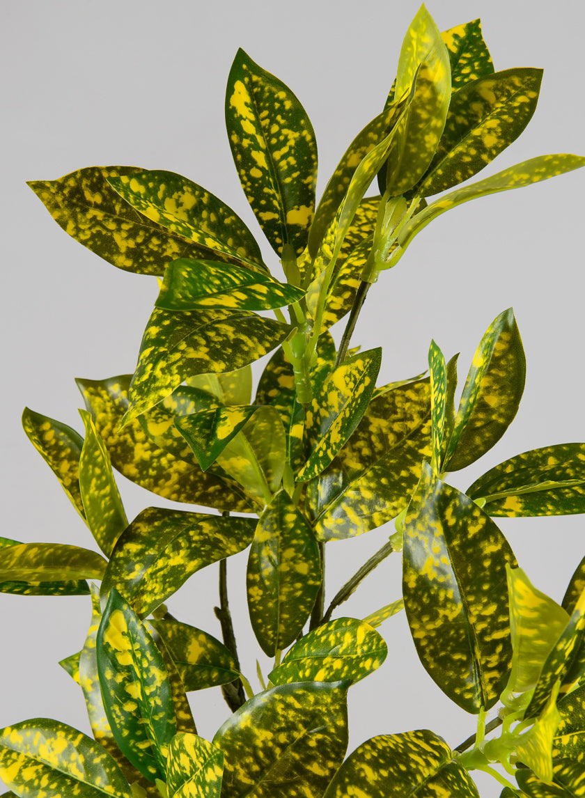 27in Long Croton Pick Leaves, Case of 12
