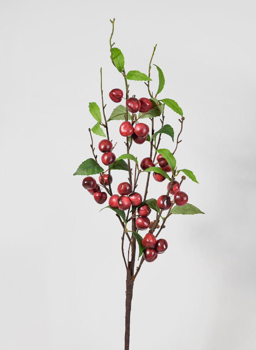 30in Long Red Cherry Branch