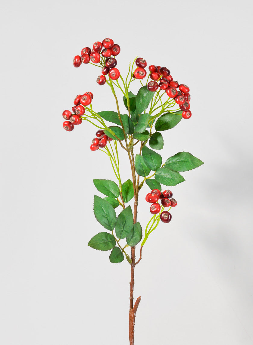 28in Long Red Berry Pick